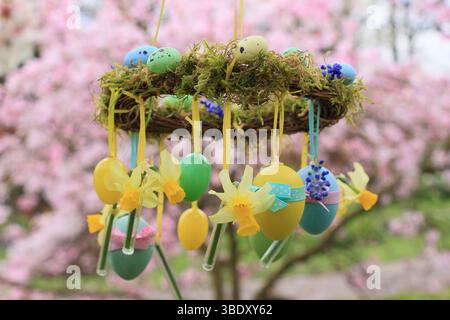 Osterkranz. Einfach zu badizierendes Kranzprojekt mit Moos, Miniatur-Narzissen und Osterei, aufgehängt auf Gartenzweig mit gelbem Band. UK Stockfoto
