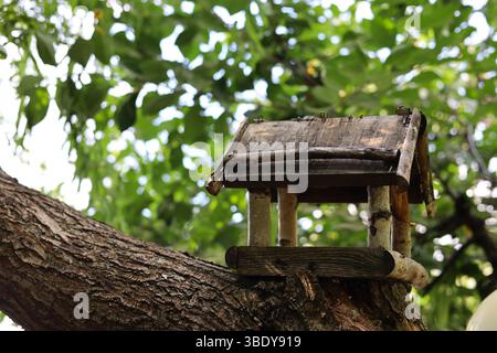 Hölzerne Vogelfutteranlage auf einem Baum mit verschwommenen grünen Blättern im Hintergrund Stockfoto