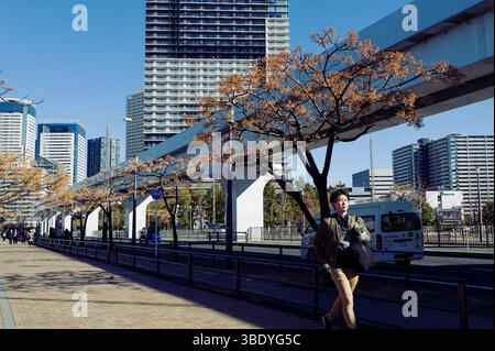 Fußgänger spazieren unter blattlosen städtischen Bäumen entlang der Yurikamome-Linie Stockfoto