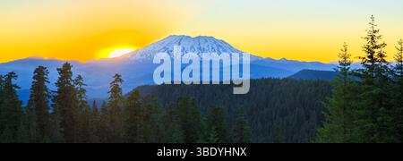 Ein malerischer Blick auf Mount Saint Helens bei Sonnenuntergang, mit Sonnenuntergang hinter dem Berg und Bäumen im Vordergrund. Stockfoto