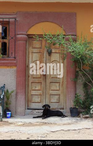 Atontonilco, Mexiko - 29. Mai 2016: Ein schwarzer Hund ruht mit einem Löwenklopfer vor einer Holztür und genießt an einem sonnigen Tag den Schatten. Stockfoto