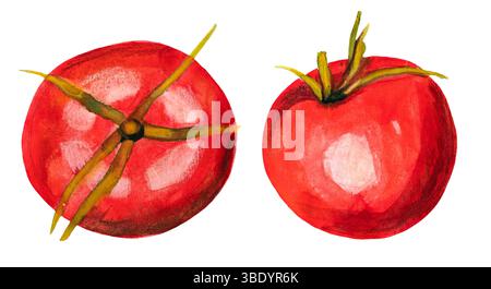 Aquarell zwei rote Tomaten Ganzes Gemüse Illustration isoliert auf weißem Hintergrund Stockfoto
