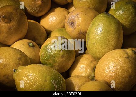 Sonnendurchfluteter Citrus Market Ein lebhafter Marktstand, der in warmes Sonnenlicht getaucht ist und von frischen Zitronen, Orangen und Mandarinen überflutet ist. Stockfoto