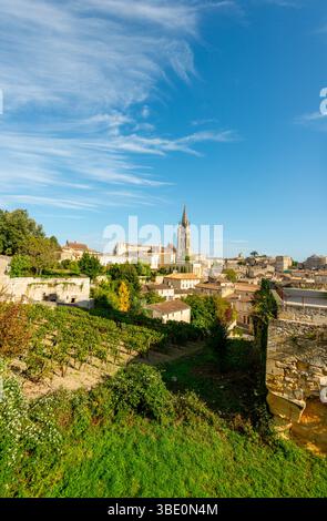 Blick aus der Vogelperspektive auf das Dorf Saint-Emilion und seine Kirche. St-Emilion, Gironde, Nouvelle-Aquitaine, Frankreich Stockfoto