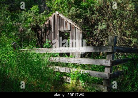 Ein verlassenes Holzgebäude hinter einem Holzzaun im Fintry Provincial Park in Kelowna, British Columbia. Stockfoto