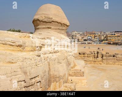Die große Sphinx von Gizeh mit Blick auf Kairo Stockfoto