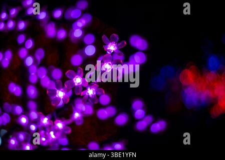 Feenlichter im Garten Stockfoto