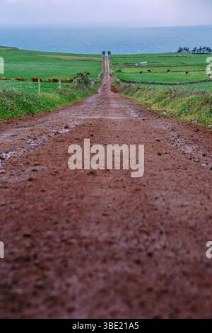 Die verwinkelte, rustikale Dirt Road führt durch Green Fields zur Küste in Sao Jorge, Azoren. Ländliche Landschaft, Blick aufs Meer, sanfte Hügel, ruhiger Jour Stockfoto