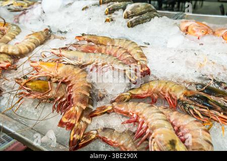Frische Tigergarnelen auf zerstoßenem Eis an der Fischtheke im Supermarkt zum Verkauf. Riesige Garnelen, die sich im Regal des Lebensmittelgeschäfts abkühlen Stockfoto