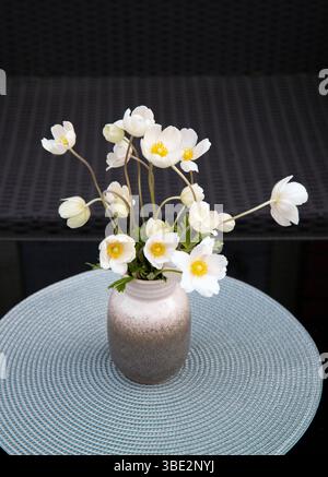 Kleine minimalistische Anemone sylvestris, allgemein bekannt als Schneeglöckchenanemone oder Windblumenstrauß in grauer Vase und grauer Farbmatte auf schwarzem Wohntisch Stockfoto