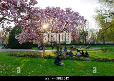 Frankreich, Bas Rhin, Straßburg, Neustadt aus dem deutschen Zeitraum als Weltkulturerbe von der UNESCO, Place de la Republique, Magnolie in voller Blüte, Krieg, Denkmal, eine Mutter hält Ihr zwei sterben Kinder, schaut man über Frankreich und der andere schaut über Deutschland und der Kathedrale Notre Dame im Hintergrund Stockfoto