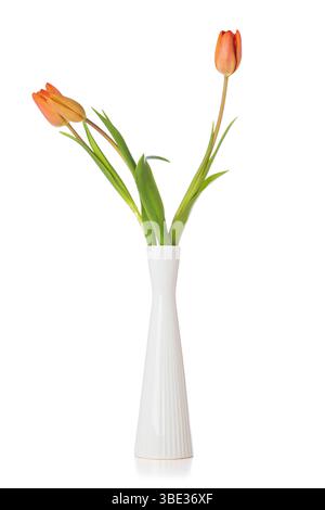 Drei orangefarbene Tulpen in eleganter weißer Vase isoliert auf weißem Hintergrund Stockfoto