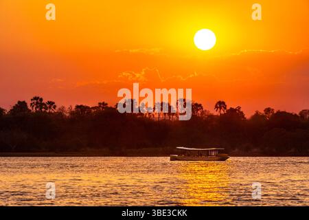 Simbabwe, die septentrionale Provinz Matabeleland, der Bezirk Hwange, eine naturalistische Aussichtskreuzfahrt auf dem Sambesi bei Sonnenuntergang Stockfoto