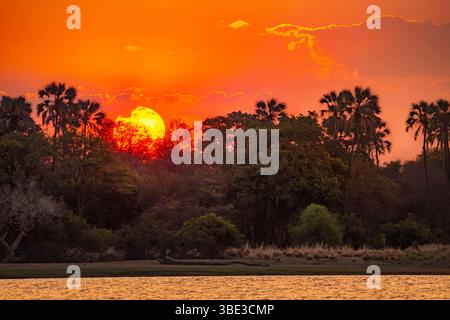 Simbabwe, Provinz Matabeleland septentrional, Bezirk Hwange, Sonnenuntergang am Ufer des Sambesi-Flusses Stockfoto