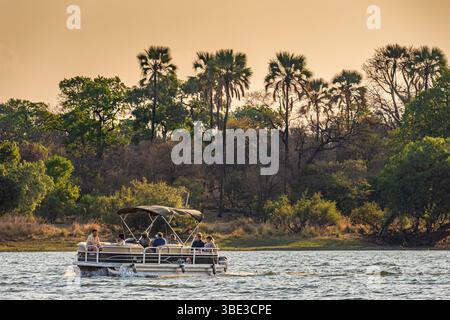 Simbabwe, die septentrionale Provinz Matabeleland, der Bezirk Hwange, eine naturalistische Aussichtskreuzfahrt auf dem Sambesi-Fluss Stockfoto