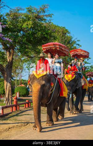 Thailand, Provinz Ayutthaya, Ayutthaya Historical Park, ein UNESCO-Weltkulturerbe, Besuch der Stätte auf dem Rücken des Elefanten Stockfoto