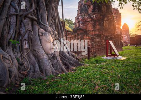 Thailand, Provinz Ayutthaya, Ayutthaya Historical Park, UNESCO-Weltkulturerbe, Wat Mahathat Stockfoto