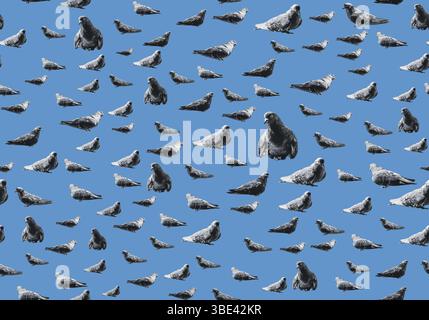 Nahtlose Tapete mit einfarbigem Taubenmuster auf einem bläulich-grauen Hintergrund. Künstlerische Flugvogel-Silhouetten in verschiedenen Winkeln für Eleganz Stockfoto
