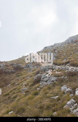 Steiler Bergpfad, der sich durch felsige, grasbewachsene Hänge schlängelt Stockfoto