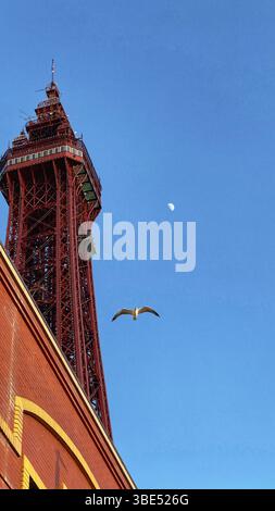 Ein abstraktes Bild des Blackpool Tower mit einer vorbeifliegenden Möwe und dem Mond in einem klaren blauen Himmel Stockfoto