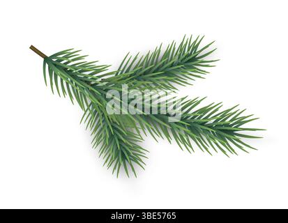 Tannenzweig. Grüner Kiefer. Weihnachtliches traditionelles, isoliertes botanisches Element für Design. Naturdekorationsobjekt für Winterurlaub. Nadelholz- und Fichtenzweig. Tannenzapfenholz. Vektorabbildung Stock Vektor