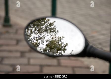 Der Rückspiegel eines Motorrads oder Rollers reflektiert Äste mit grünen Blättern und einem hellen Himmel, während eine asphaltierte Straße und verschwommene Formen sichtbar sind Stockfoto