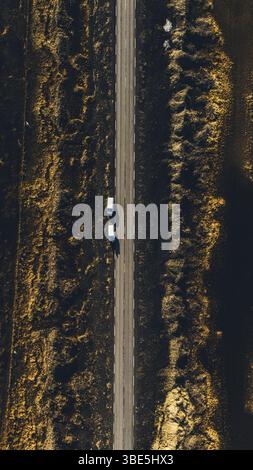 Eine direkte Luftaufnahme von zwei Autos, die auf einer geraden Landstraße fahren, umgeben von goldbraunem Gelände in der Nähe von Hofsos, Island, die auf einem C erfasst wurde Stockfoto