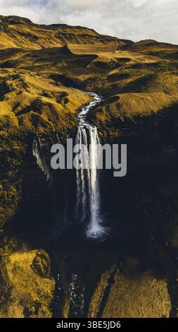 Ein atemberaubender Blick aus der Vogelperspektive auf den Seljalandsfoss Wasserfall in Island, mit Wasser, das über eine hohe Klippe stürzt, umgeben von goldenem, moosigem Gelände und gewundenen Windungen Stockfoto