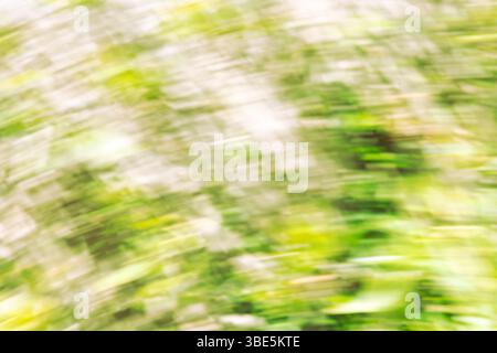 Dieses abstrakte Bild fängt einen Wirbel aus Grün- und Weißtönen ein und erzeugt ein Gefühl von Bewegung und Energie. Ideal für kreative Projekte und Hintergründe. Stockfoto
