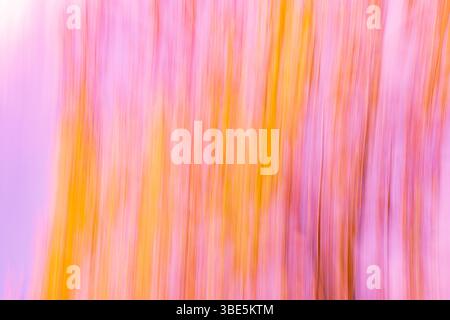 Ein abstraktes Bild mit vertikalen Streifen in leuchtendem Rosa und Orange. Der Farbfluss erzeugt einen verschwommenen, energetischen und dynamischen visuellen Effekt, eine Idee Stockfoto