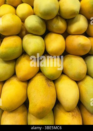 Eine lebendige Mischung frischer, reifer Mangos, die eng aneinandergereiht sind und ihre lebhafte gelbe Farbe und verführerische Textur zeigen, perfekt für eine tropische Frucht Stockfoto