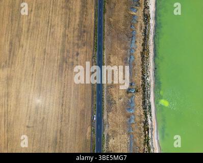 Luftaufnahme mit faszinierendem Kontrast trennt eine gerade Straße ein goldenes Feld von einem lebhaften grünen See in Victoria, Australien. Die einzigartige Co Stockfoto