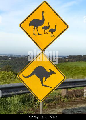 Zwei gelbe, rautenförmige Schilder mit Silhouetten von Emus und Kängurus weisen die Fahrer auf die Tierwelt im malerischen australischen Land hin Stockfoto