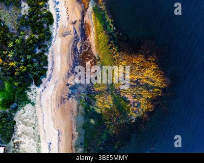 Atemberaubender Blick aus der Luft auf eine zerklüftete Küste mit üppigem Grün und Sandstränden, auf das tiefblaue Meer in der Great Ocean Road. Die Harmonie des Natu Stockfoto