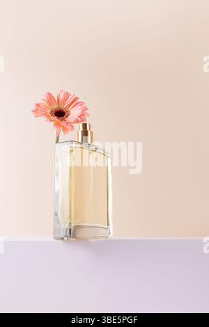 Elegante Parfümflasche aus Glas mit pfirsichfarbener Gerbera-Blume auf der Oberseite, die vor einem weichen, neutralen Hintergrund eine frische und raffinierte Ae kreiert Stockfoto