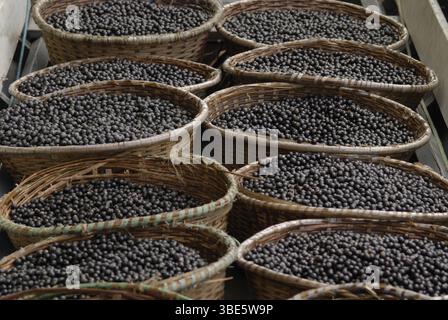 Körbe gefüllt mit frisch geernteten açaí-Beeren warten auf den Transport von der Waldregion Igarapé-Mirim zum Hafen von Belém, Pará, Brasilien. Stockfoto
