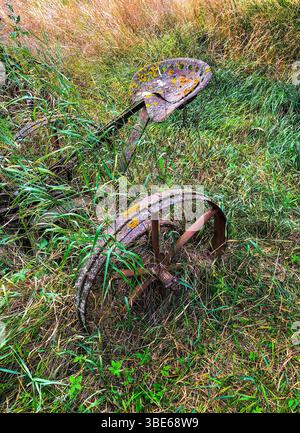 Alte rostige Landmaschine auf langem Gras - Sud-Touraine, Frankreich. Stockfoto
