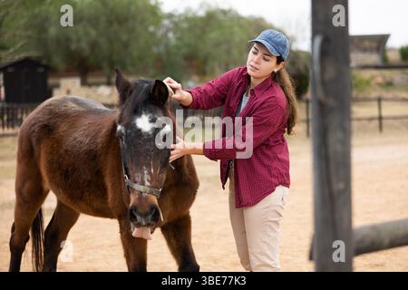 Eine Farmerin, die sich um Pferde kümmert Stockfoto