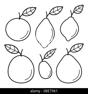 Zitrusfrüchte. Orange, Zitrone, Limette, Grapefruit, Pomelo, Kumquat. Symbol für handgezeichnete Skizze. Isolierte Vektorillustration im Doodle-Line-Stil. Stock Vektor