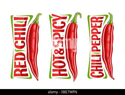 Vektor rote Chili Pfeffer Set, horizontales Poster mit Umrissillustrationen von scharfen Chili, dekoratives Plakat mit einzigartiger Pinselbeschriftung für verschiedene r Stock Vektor