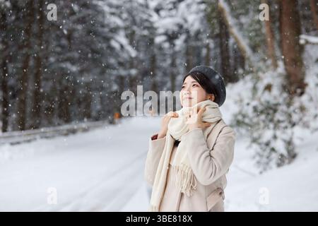 Japanerin, die einen Schal trägt, steht im Winter in einem verschneiten Land Stockfoto
