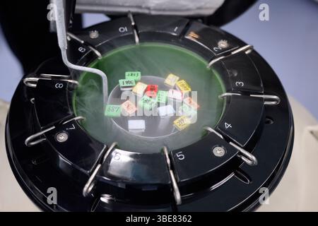 Proben kryokonserviert in Flüssigstickstofftanks und Etiketten Stockfoto