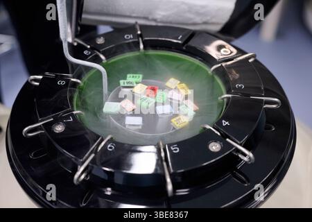 Proben und Etiketten gefroren und in Flüssigstickstofftanks gelagert Stockfoto