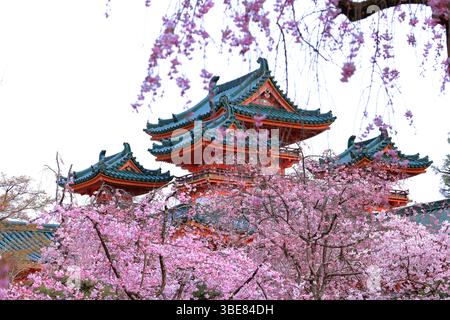 Heian-Schrein, Shinto-Schrein und Landschaftsgärten in Okazaki Nishitennocho, Sakyo Ward, Kyoto, Japan Stockfoto