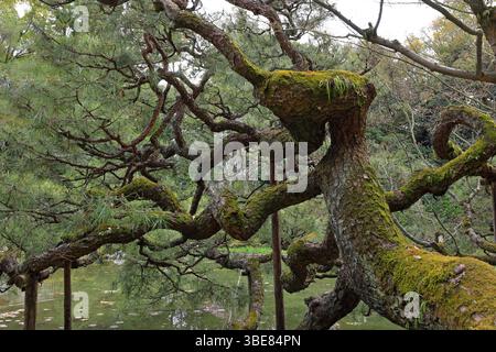 Heian-Schrein, Shinto-Schrein und Landschaftsgärten in Okazaki Nishitennocho, Sakyo Ward, Kyoto, Japan Stockfoto