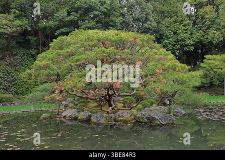 Heian-Schrein, Shinto-Schrein und Landschaftsgärten in Okazaki Nishitennocho, Sakyo Ward, Kyoto, Japan Stockfoto