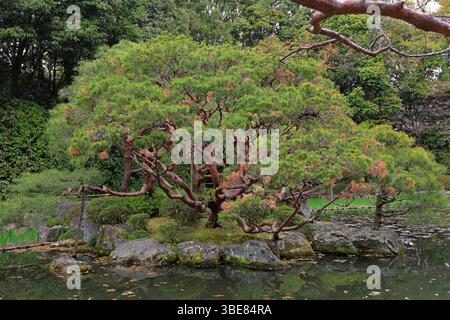 Heian-Schrein, Shinto-Schrein und Landschaftsgärten in Okazaki Nishitennocho, Sakyo Ward, Kyoto, Japan Stockfoto