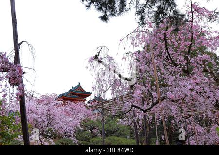 Heian-Schrein, Shinto-Schrein und Landschaftsgärten in Okazaki Nishitennocho, Sakyo Ward, Kyoto, Japan Stockfoto