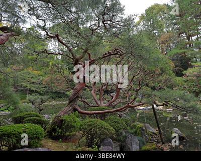 Heian-Schrein, Shinto-Schrein und Landschaftsgärten in Okazaki Nishitennocho, Sakyo Ward, Kyoto, Japan Stockfoto