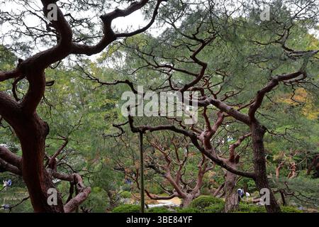 Heian-Schrein, Shinto-Schrein und Landschaftsgärten in Okazaki Nishitennocho, Sakyo Ward, Kyoto, Japan Stockfoto